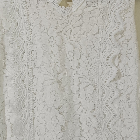 Collection by Cezele Lace Blouse - Picture 6 of 7